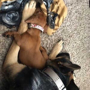 Meet your Posher, Krista